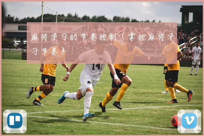 麻将学习的节奏控制（掌控麻将学习节奏）