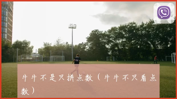牛牛不是只拼点数（牛牛不只看点数）