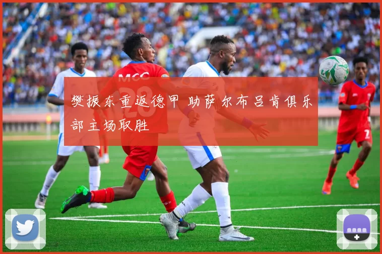 樊振东重返德甲 助萨尔布吕肯俱乐部主场取胜