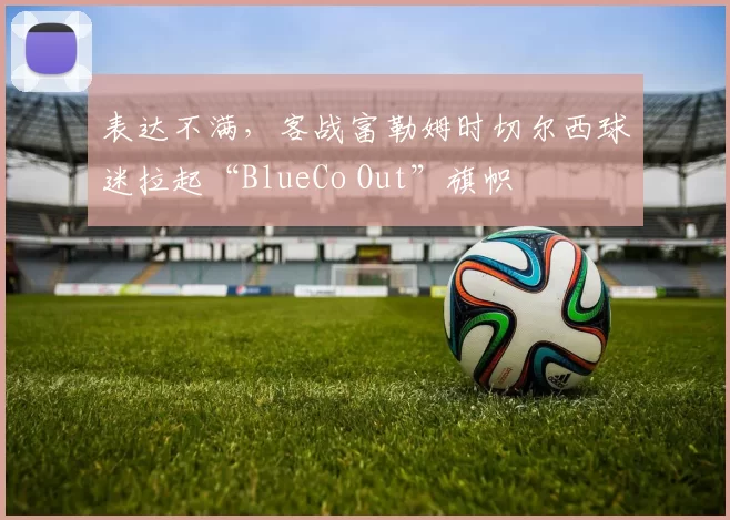 表达不满，客战富勒姆时切尔西球迷拉起“BlueCo Out”旗帜