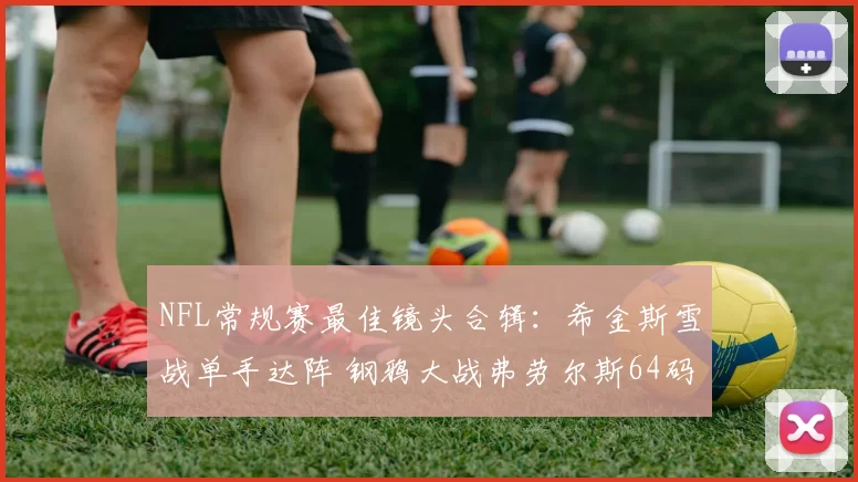 NFL常规赛最佳镜头合辑：希金斯雪战单手达阵 钢鸦大战弗劳尔斯64码接球