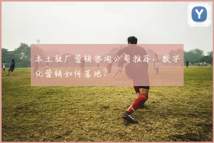 本土驻厂营销咨询公司推荐，数字化营销如何落地？