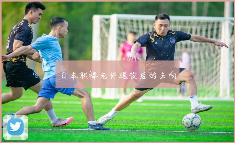 日本职棒老将退役后的去向