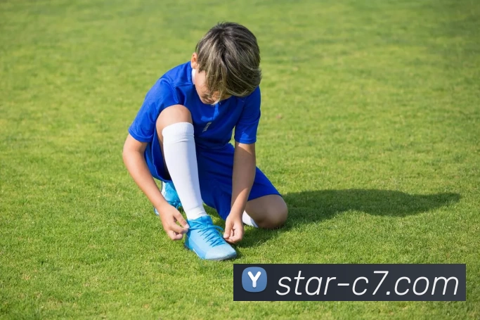 c7娱乐服务体系